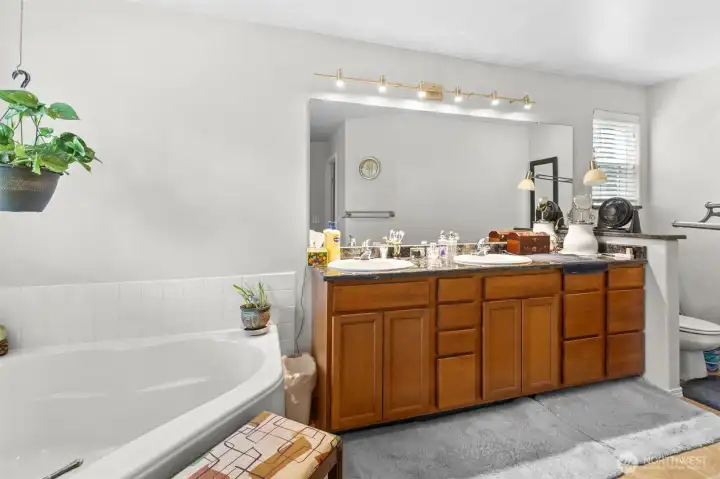 Primary suite with large soaking tub 2 sinks separate walk-in shower and wilk in closet.