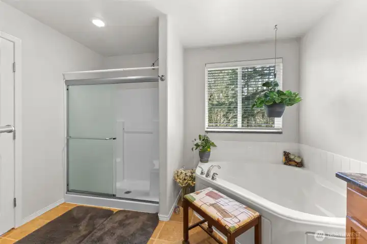 Primary bathroom