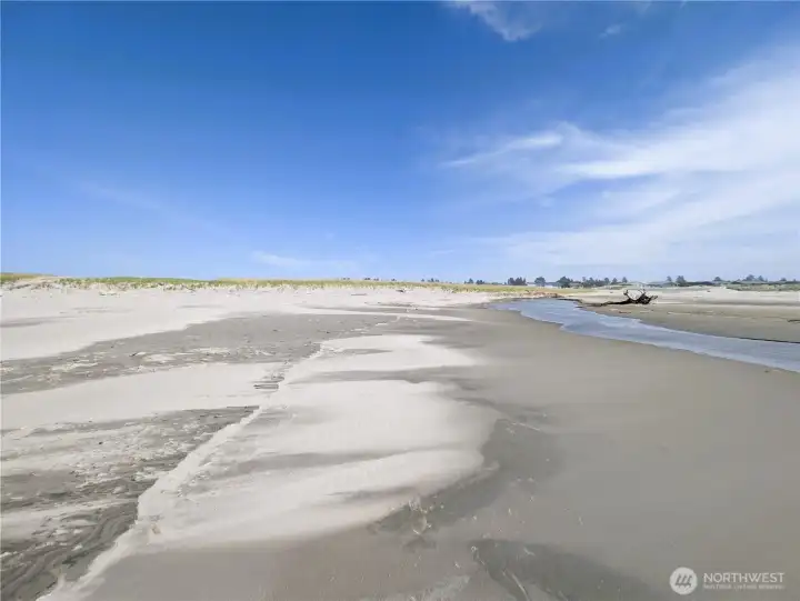 Facing east from beach over the property