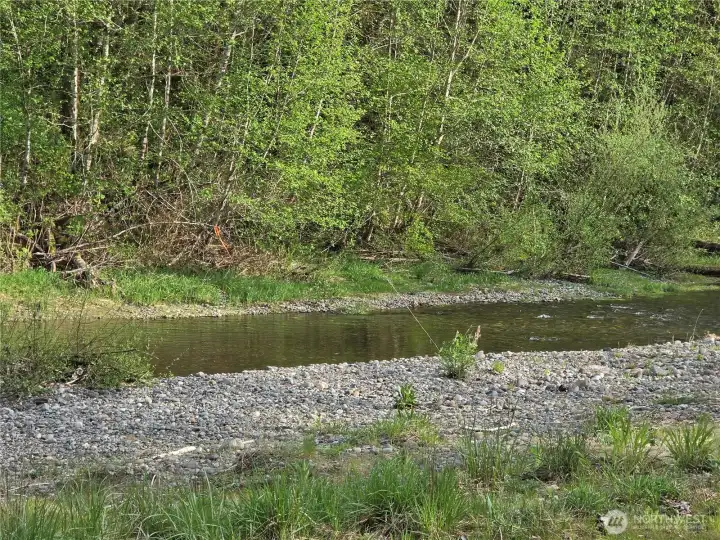 The sound of the river is so beautiful and this is with the river running low. It the winter it really moves fast and it's also part of the salmon highway so lots to see all year around.