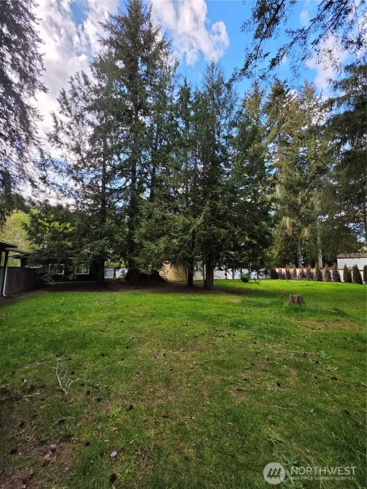 This is the view when you walk into the gate from the carport. There's no part of the property that isn't beautiful and useful too.