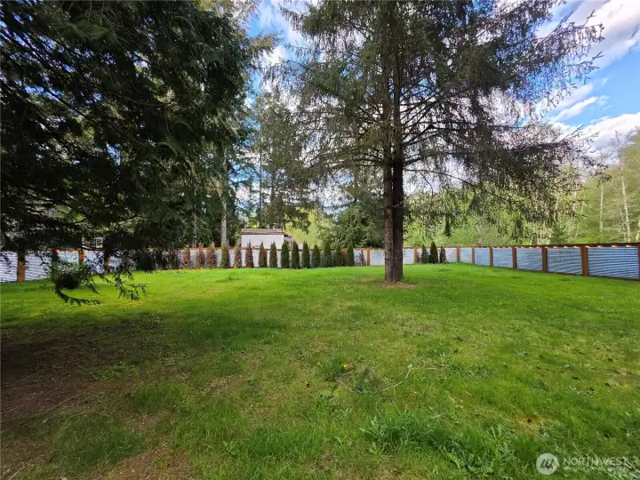 This fully fenced side yard is perfect for the safety of your pets or children. So much room for anything you have in mind.
