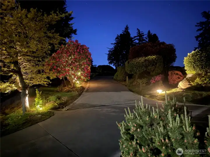 Landscaping lights in the front. Landscaping lights in the front.