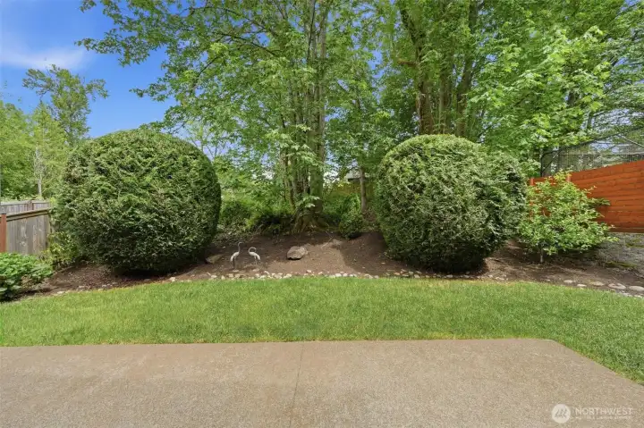 Views of the greenbelt from the back patio.