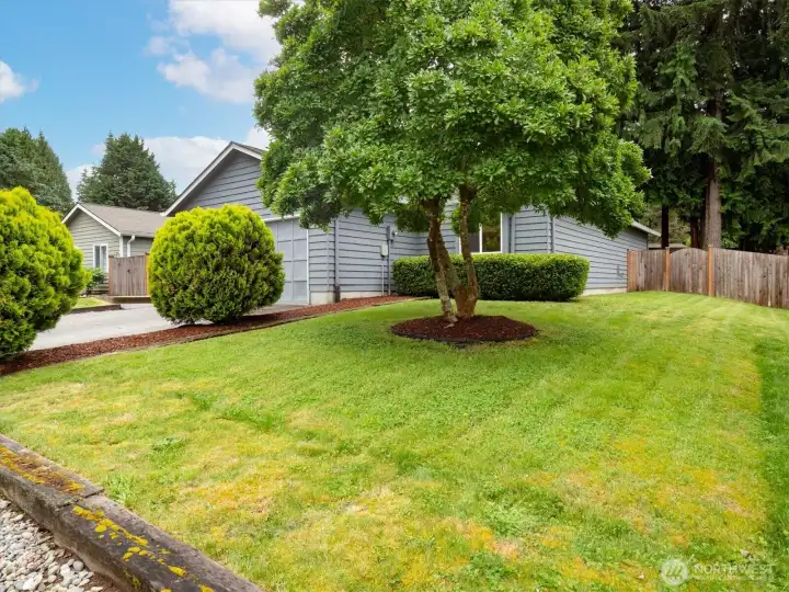 Spacious and commuter-friendly, this Silver Firs home is the perfect place to put down roots.