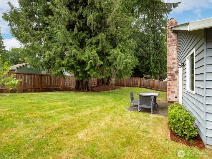 Enjoy the relaxation that comes with privacy, courtesy of the fully-fenced backyard.