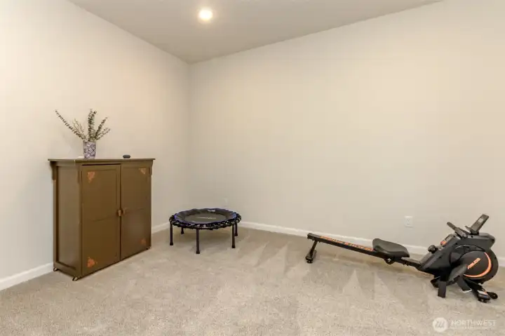 Downstairs bedroom