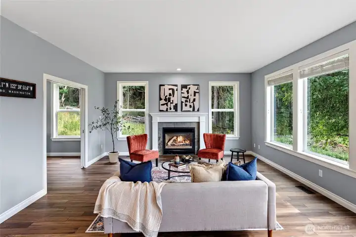 Living room and gas fireplace