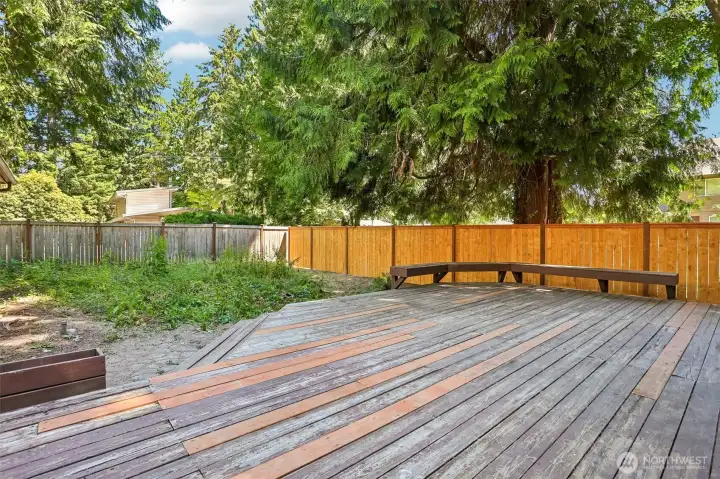Back Yard highlighting potential Garden area Back Yard highlighting potential Garden area