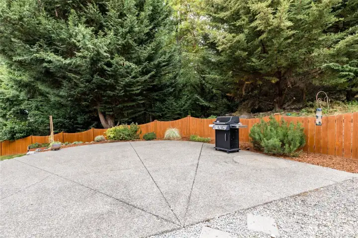 Expansive patio is ready for your backyard BBQ party!