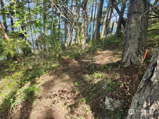 Trail into lot