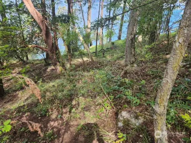 Interior lot