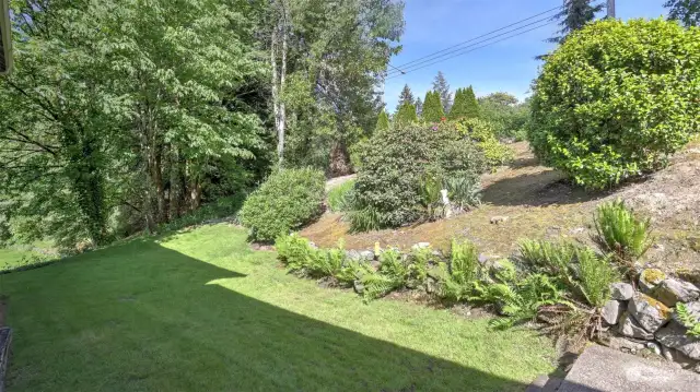 Backyard offers more of the established landscaping for added privacy.