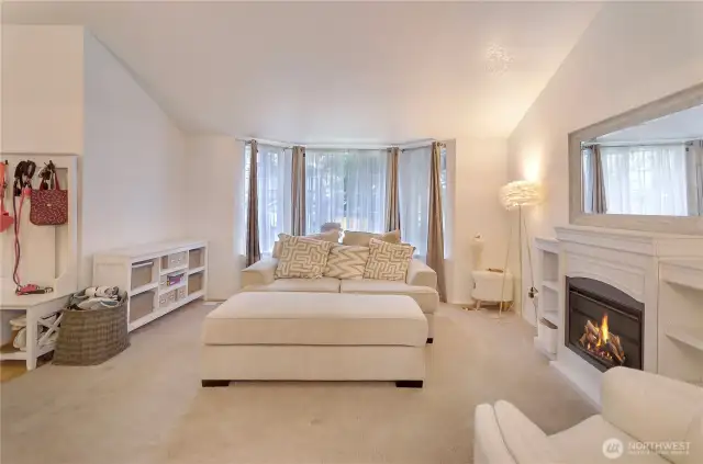 Living room w/ electric fireplace unit.