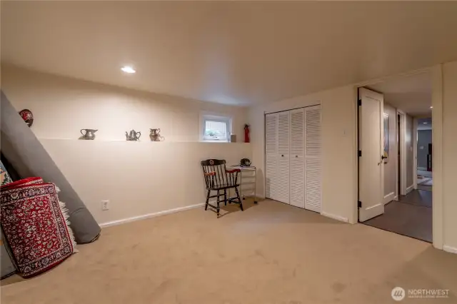 Lower level bedroom
