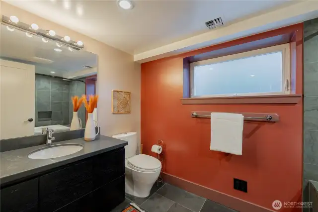 Lower level bathroom