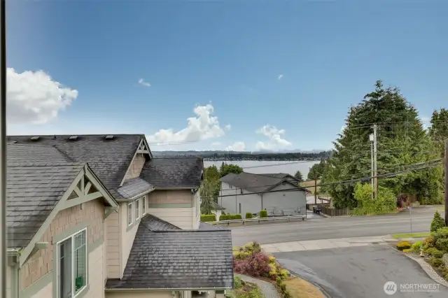 Lake Stevens VIEW!