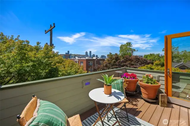 Rooftop deck with beautiful views of the city, sound, and mountains!