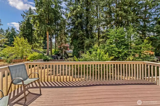Main Level deck off Kitchen