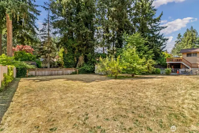 Massive yard