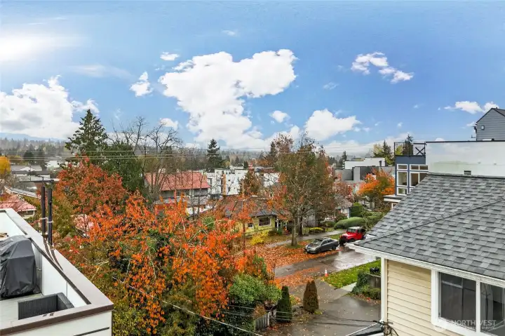 Rooftop view - city and territorial