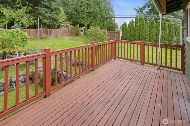 Large Entertainment-size deck