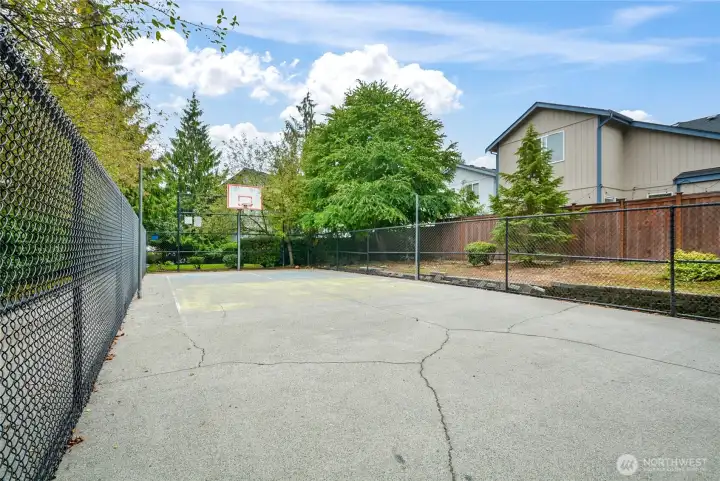 Neighborhood basketball court!