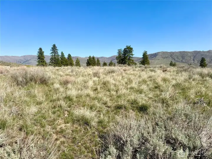 Large level potential building areas