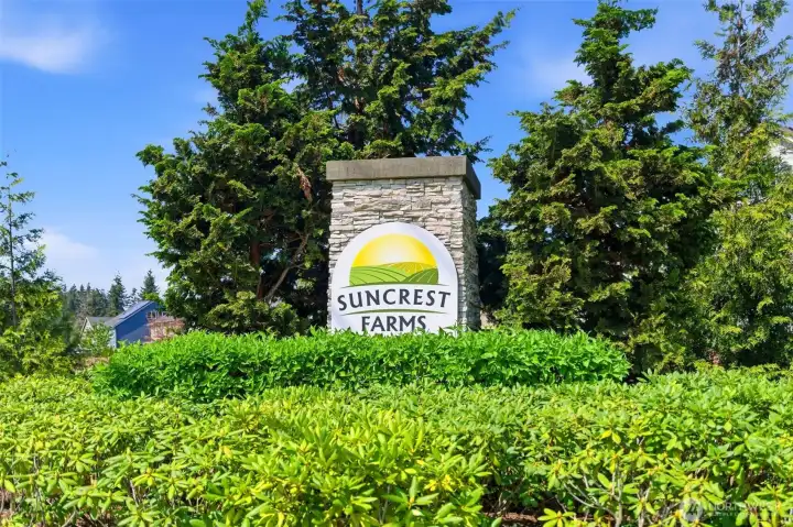 Welcome to Suncrest Farms!