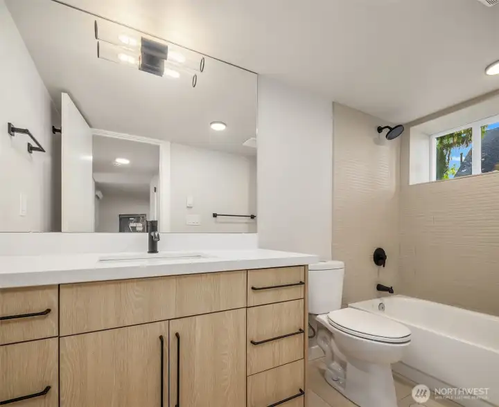 Lower level bathroom