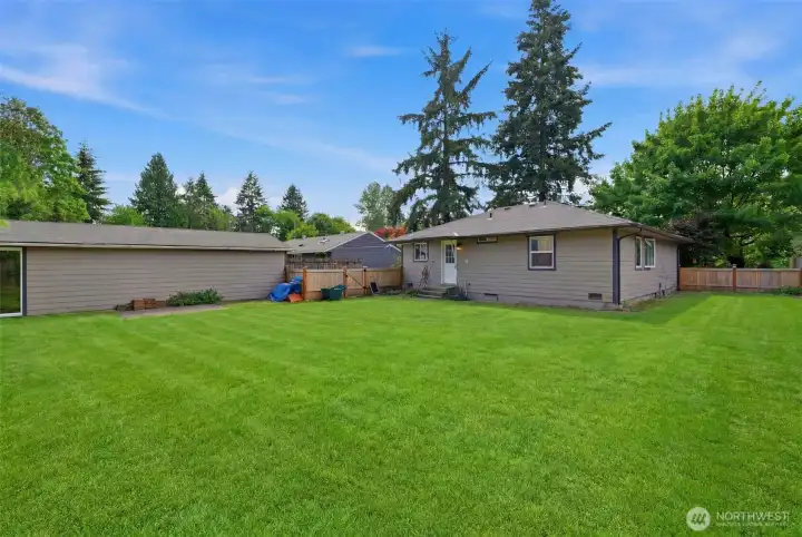 Enhansed photo to show what the backyard could look like with grass planted.
