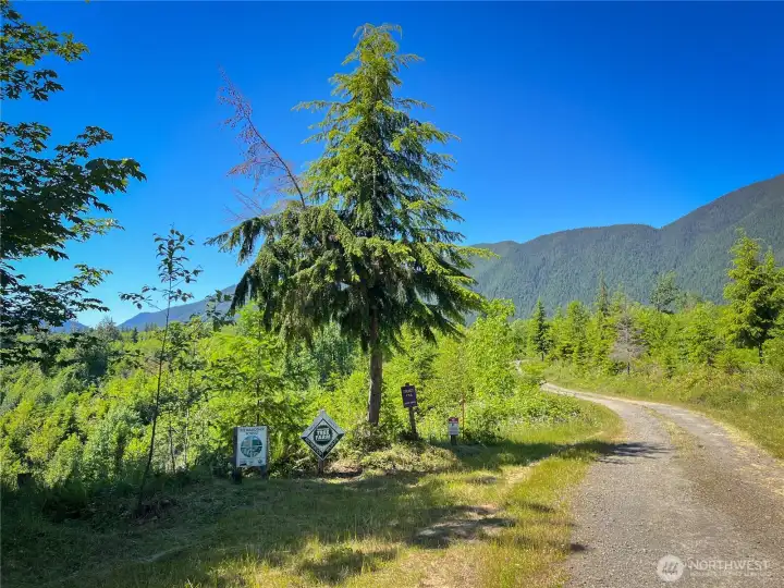 The leading edge of the 158 acre dream.... The leading edge of the 158 acre dream....