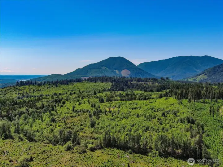 You can see the small cabin in the foreground and the main home in the distance. N property line is in the foreground and Mt Walker in the distance. You can see the small cabin in the foreground and the main home in the distance. N property line is in the foreground and Mt Walker in the distance.