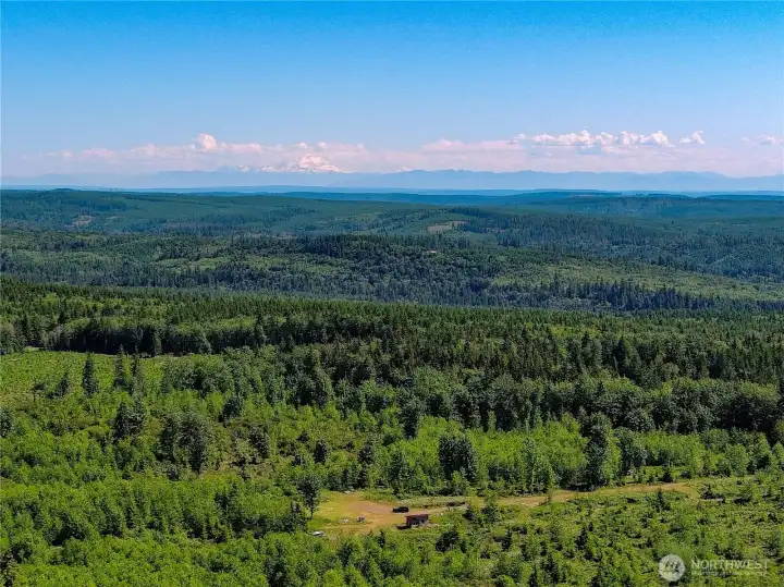 NE facing photo of the site. Still no one in the distance. NE facing photo of the site. Still no one in the distance.