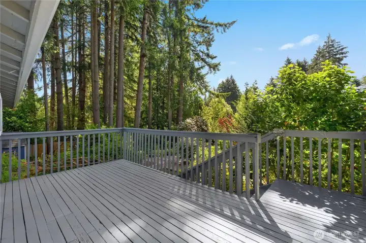 Rear Deck View