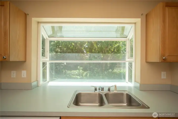 Kitchen sink with a view of the back yard