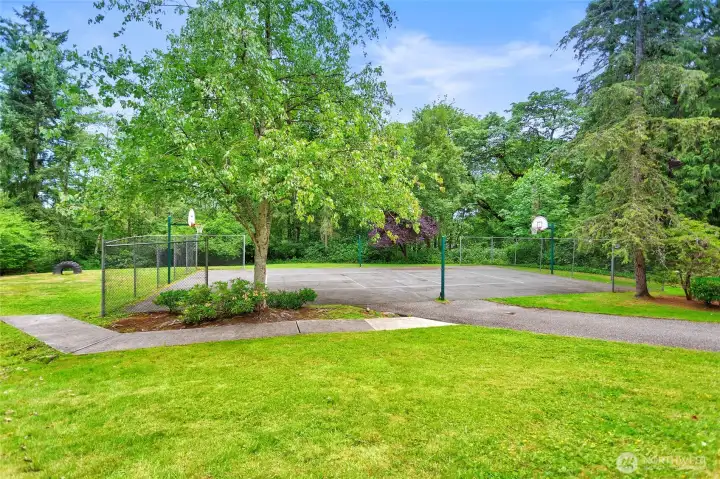 Community basketball court