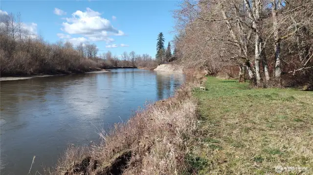 Chehalis Riverfront