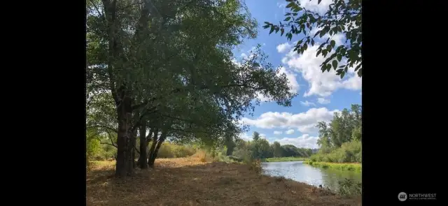 Chehalis riverfront area