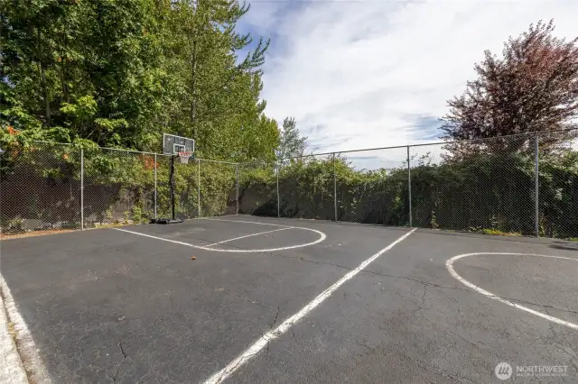 Basketball court