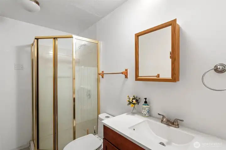 3/4 bath on the lower level.
