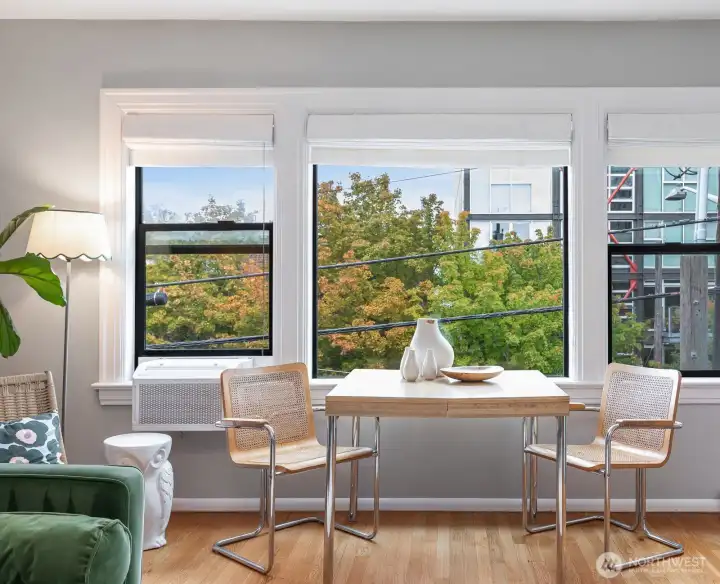 Love those beautiful trees!