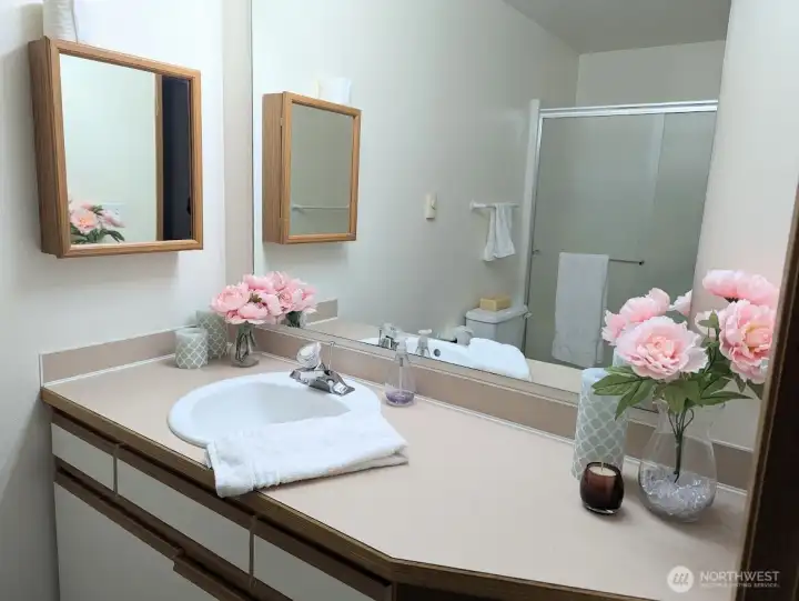 Primary bathroom with good counter space.