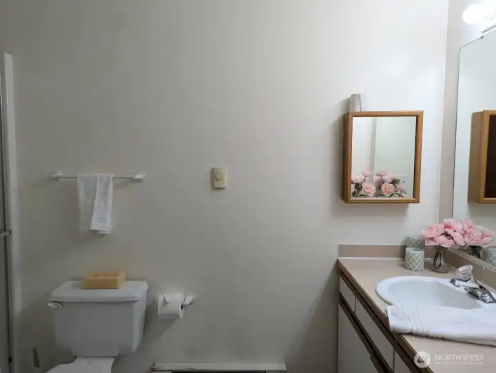 Spacious primary bath for all your stuff.