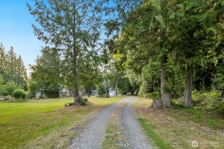 Beautiful road leading to the home!