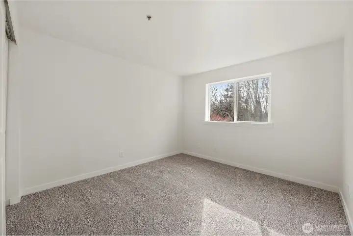 Another View of the Primary Bd - New Carpet