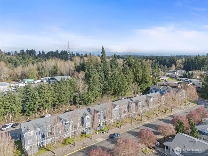 Welcome Home to Hartland Place!