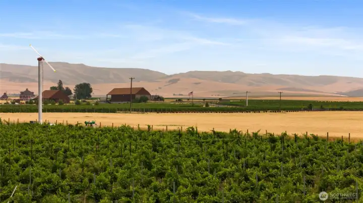 Doubleback Vineyards