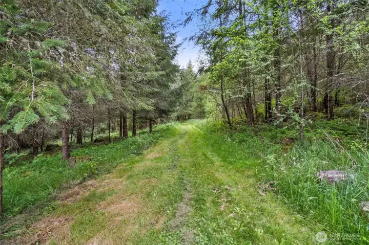 Trails into the wooded portion of property