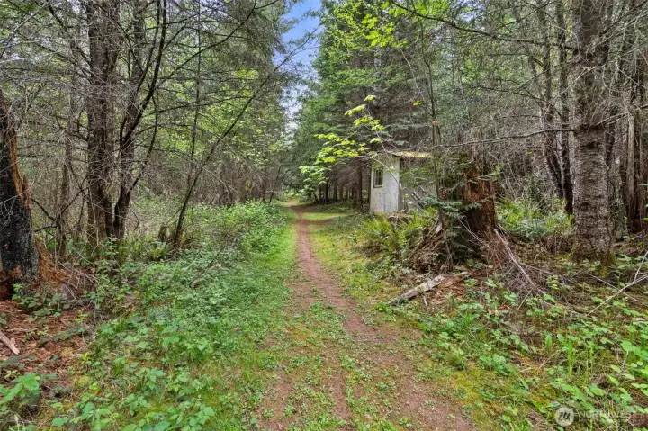 Trails into the wooded portion of property